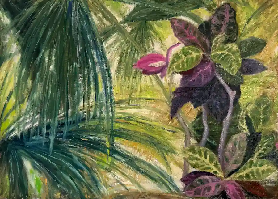 Blumen in Florida am Straßenrand Blumen in Florida am Straßenrand